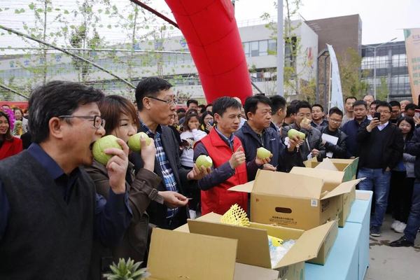 微信图片_20190411211733.jpg